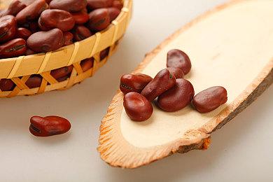 《怪物猎人崛起：曙光》新更新上线 修复多个问题